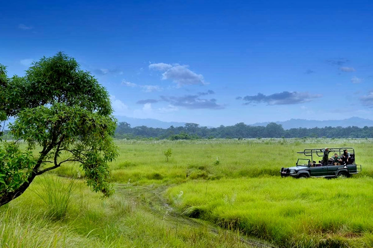 Chitwan Jungle Safari Tour - 3 Days