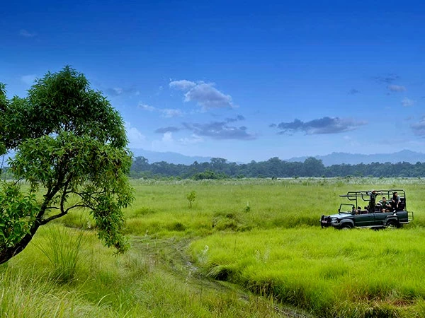 Chitwan Jungle Safari Tour - 3 Days